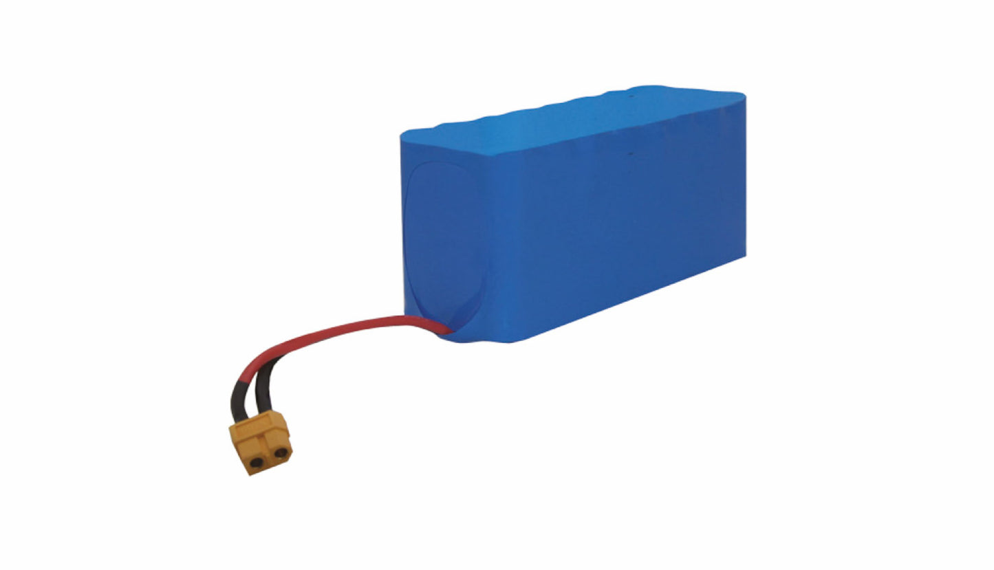 9,6V 16,2Ah LiFePo Battery