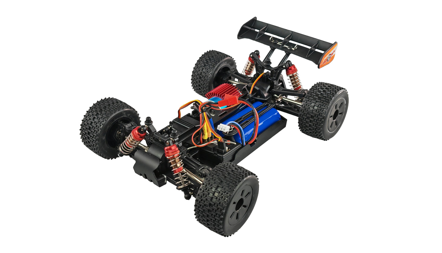Entelodon Pro Truggy Brushless 4WD 1:18 RTR