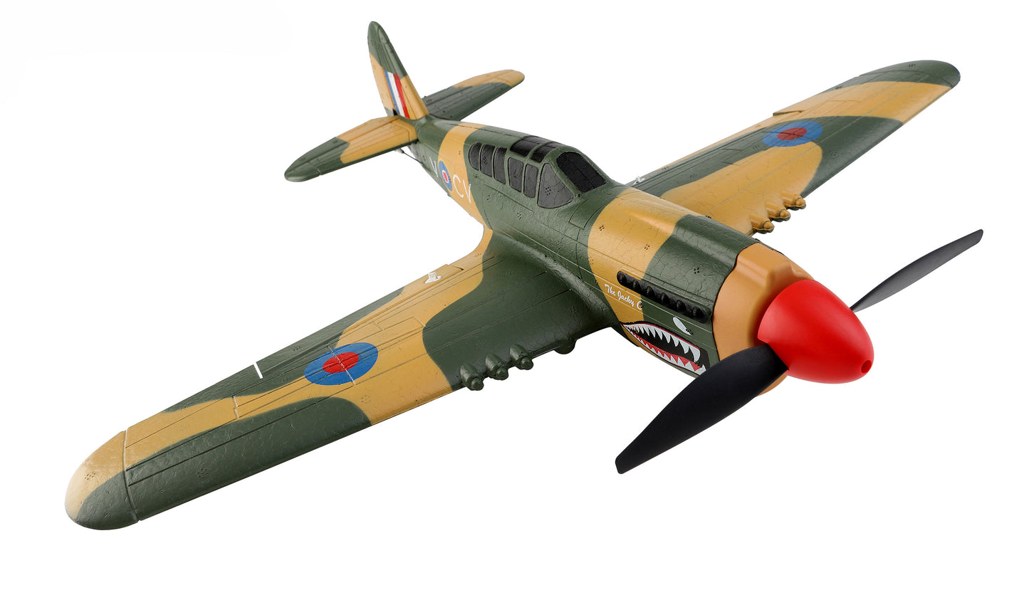AMXFlight P40 Fighter 4-Kanal 3D/6G RTF