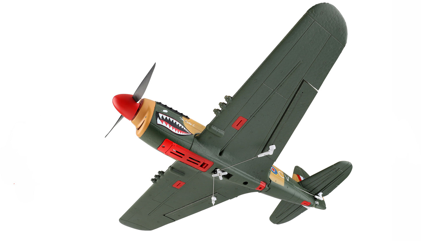 AMXFlight P40 Fighter 4-Kanal 3D/6G RTF