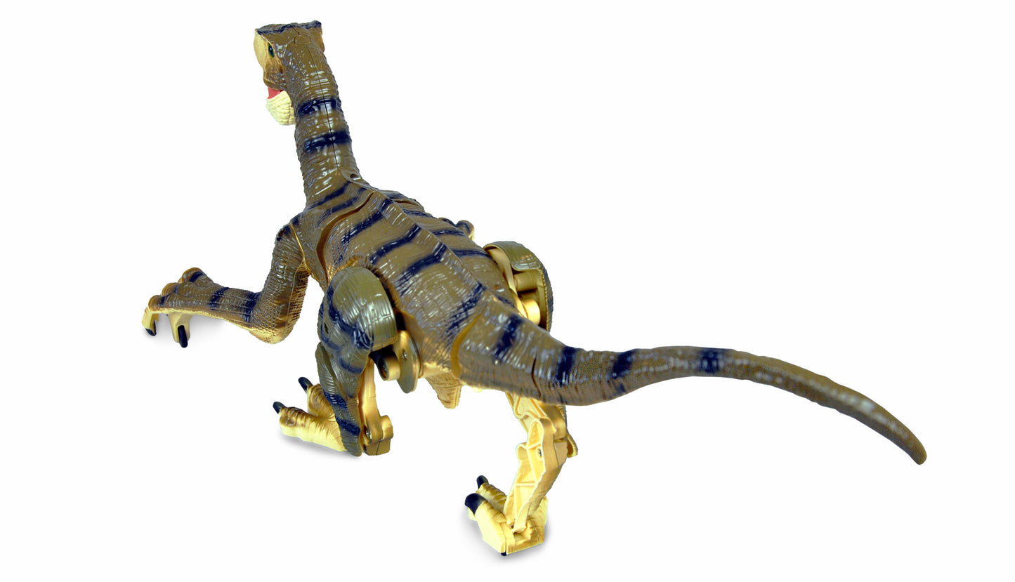 Velociraptor RC Dinosaurier 45cm, RTR braun