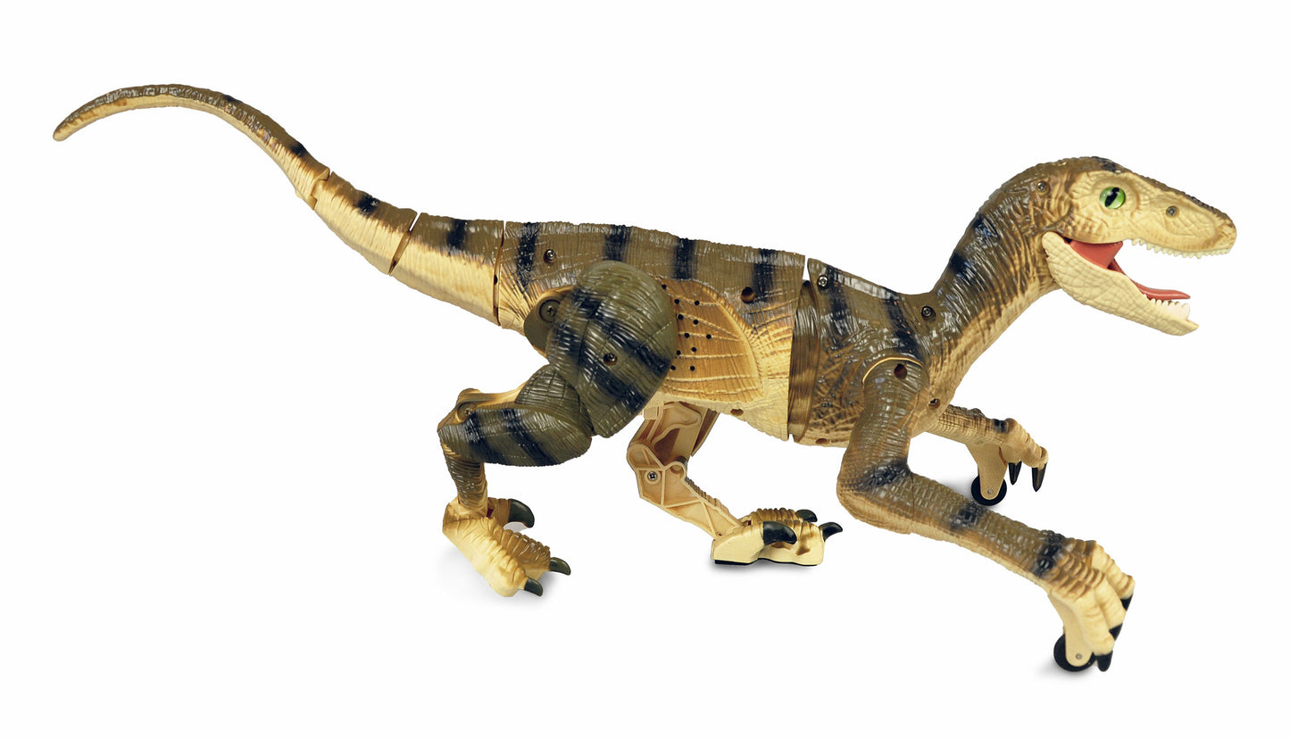 Velociraptor RC Dinosaurier 45cm, RTR braun
