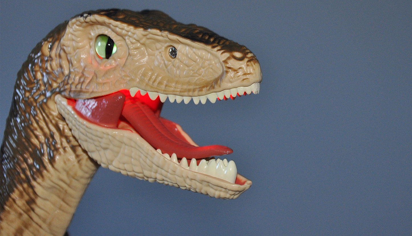 Velociraptor RC Dinosaurier 45cm, RTR braun