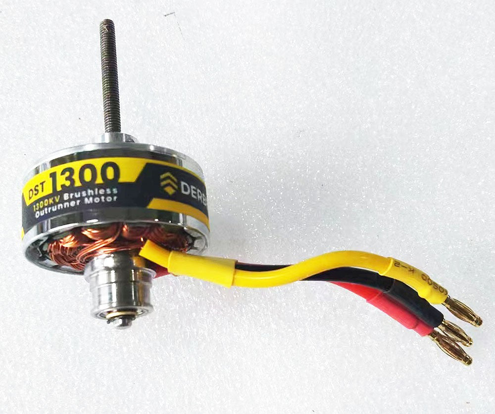 Brushless motor DST-1300