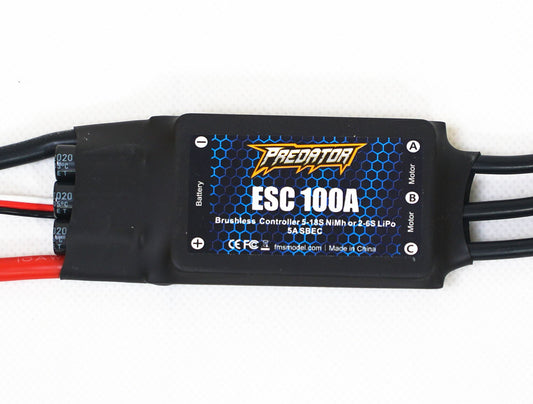 100A ESC (Hobbywing)