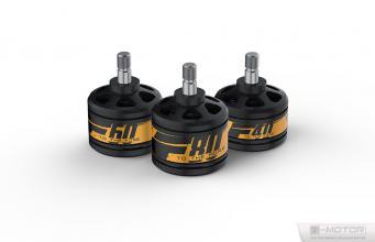 DISC.. Brushless Motors set (2pcs) F60 - 2200kv