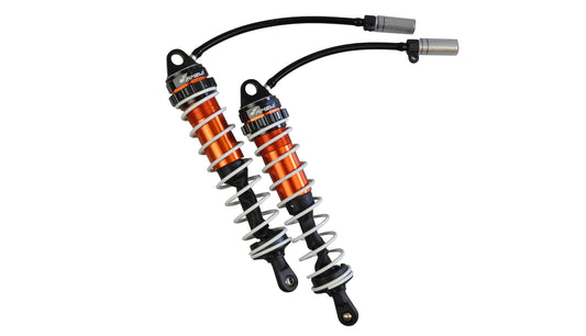 Shock Absorbers Rear, 2 Stück RXB7