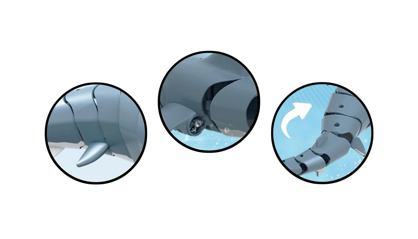 Sharky, der blaue Hai 4-Kanal RTR