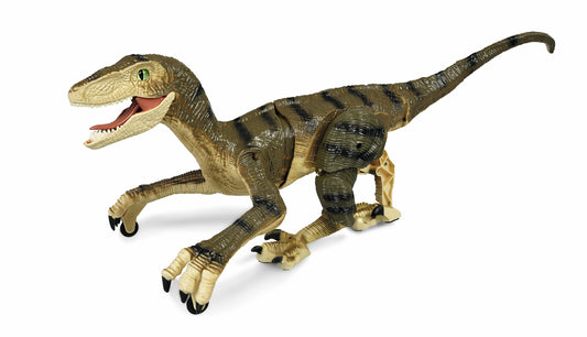 Velociraptor RC Dinosaurier 45cm, RTR braun