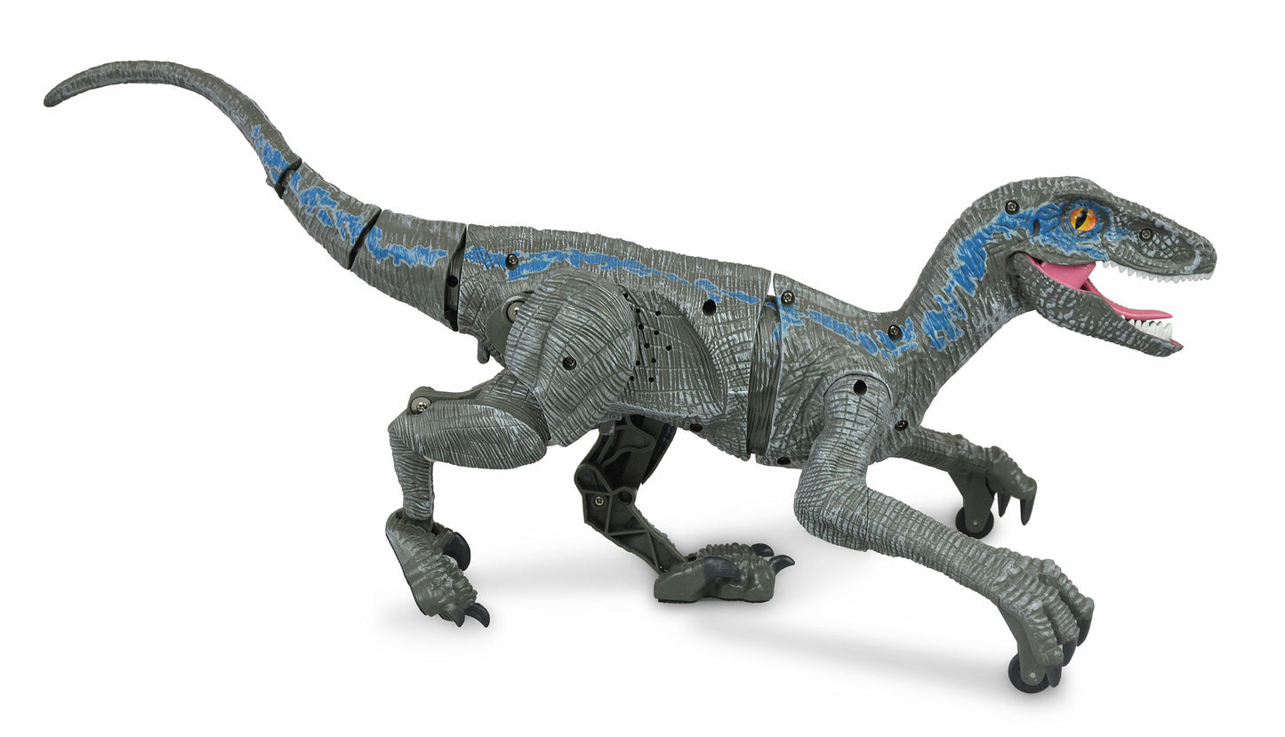 Velociraptor RC Dinosaurier 45cm, RTR Gray